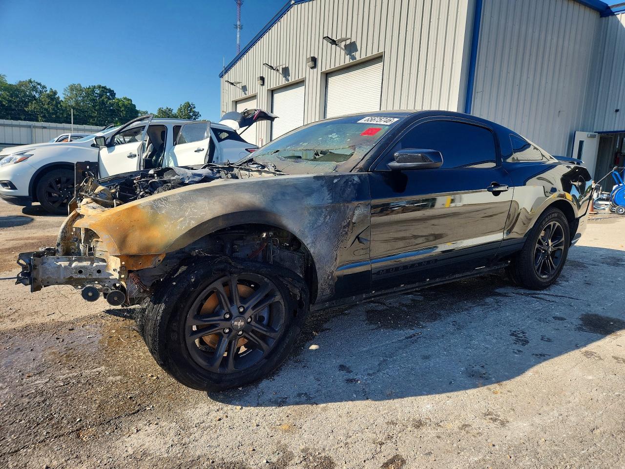 2014 FORD MUSTANG 1ZVBP8AM0E5240516