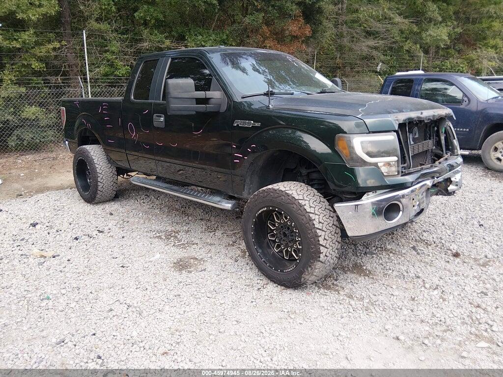 1FTEX1CM9DFD93974 2013 FORD F-150 photo no. 1