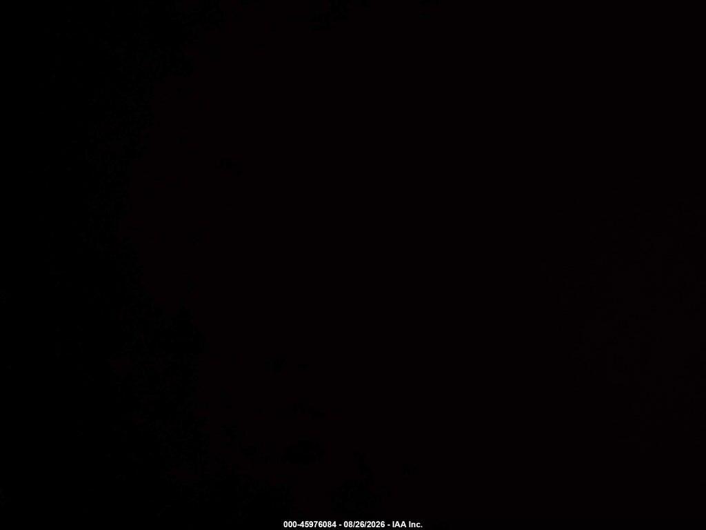 1FTER4KH7RLE04009 2024 FORD RANGER photo no. 11