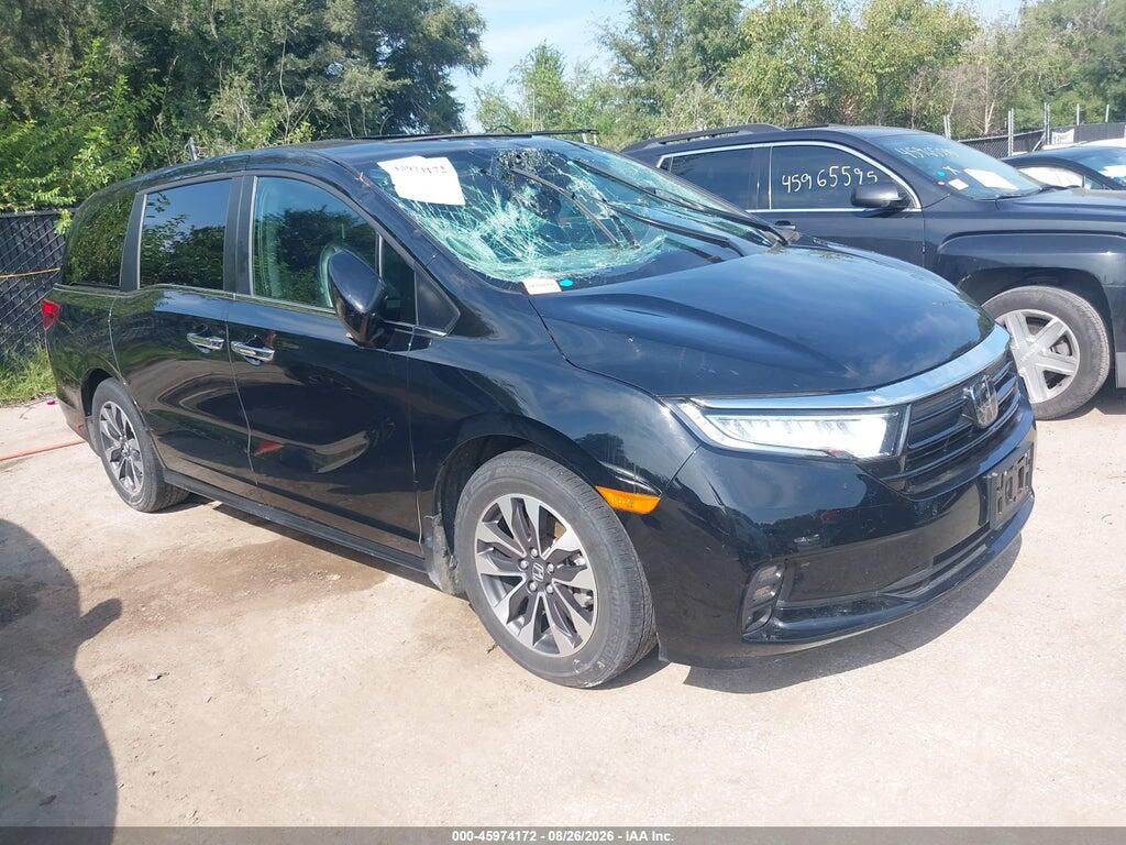 5FNRL6H69RB042479 2024 HONDA ODYSSEY photo no. 1