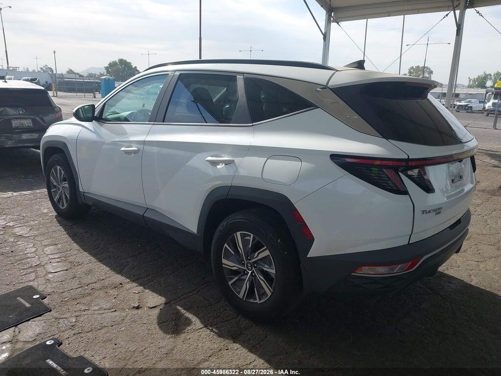 KM8JBCA1XPU109765 2023 HYUNDAI TUCSON HYBRID photo no. 3