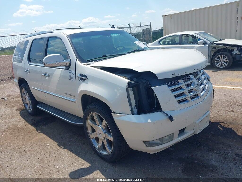 2010 CADILLAC ESCALADE 1GYUKBEFXAR228504