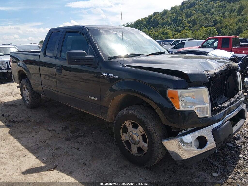 2012 FORD F-150 1FTFX1ET9CFA91303