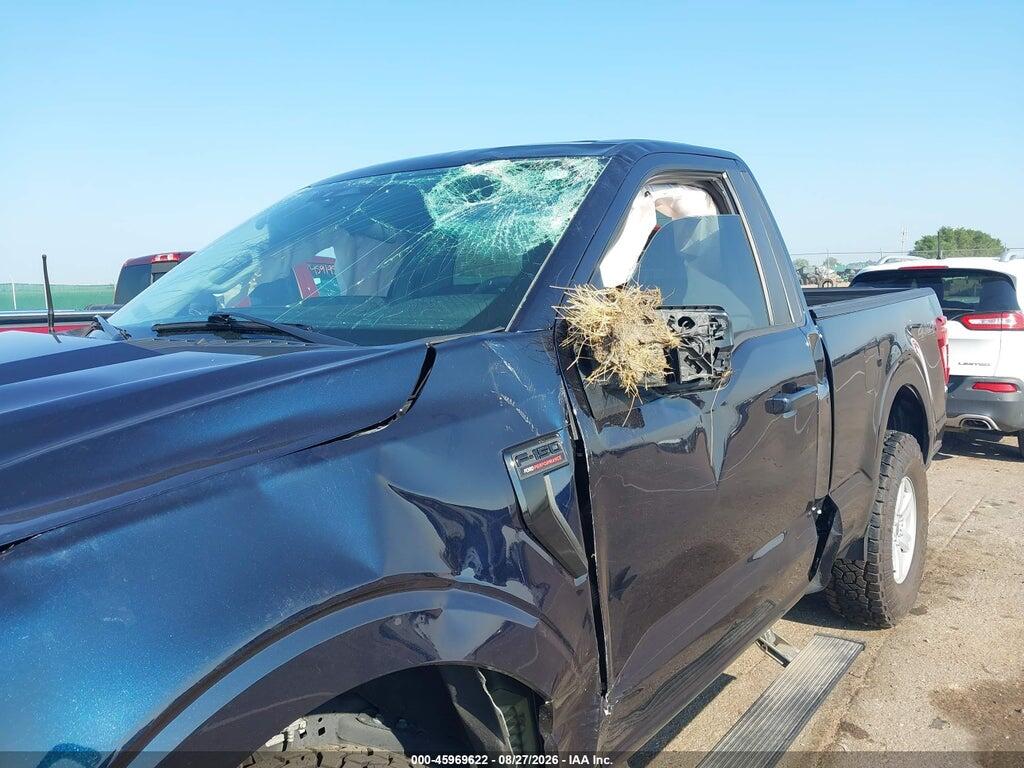 1FTMF1L59SKE64862 2025 FORD F-150 photo no. 6