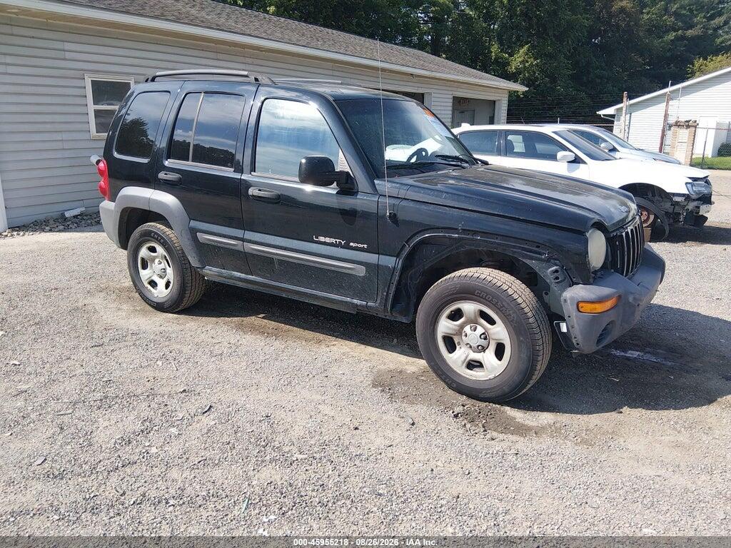 2003 JEEP LIBERTY 1J4GL48K23W669675