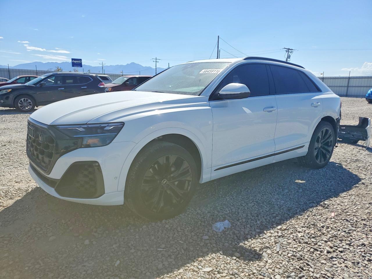 2025 AUDI Q8 WA1EVBF19SD010289