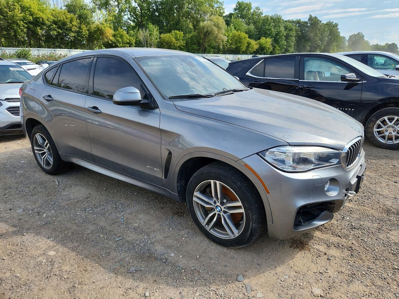 2017 BMW X6 XDRIVE50I — Фото 4 из 13