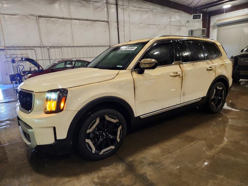 2024 KIA TELLURIDE 5XYP3DGC6RG480226