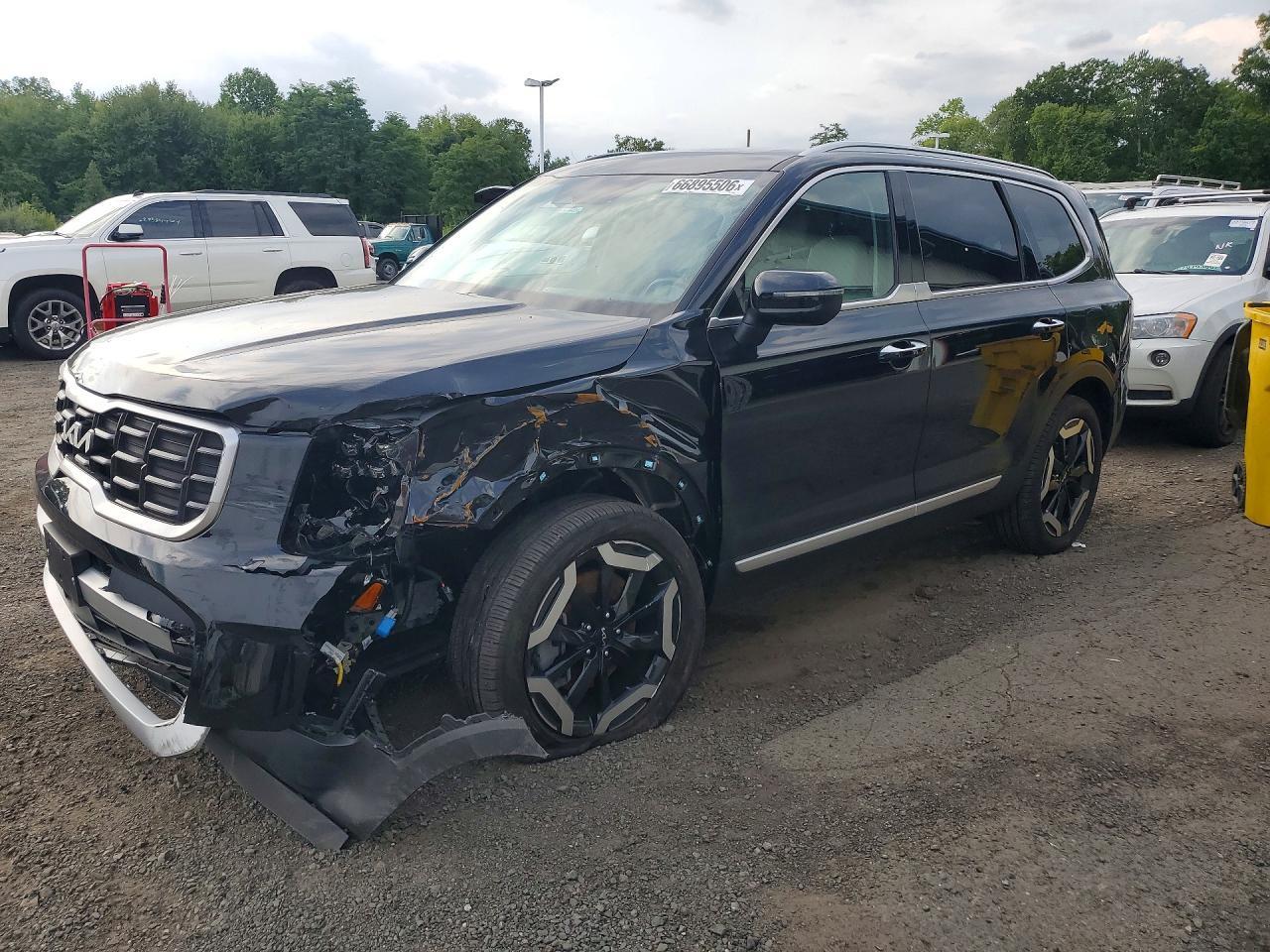 2025 KIA TELLURIDE 5XYP6DGC7SG653295