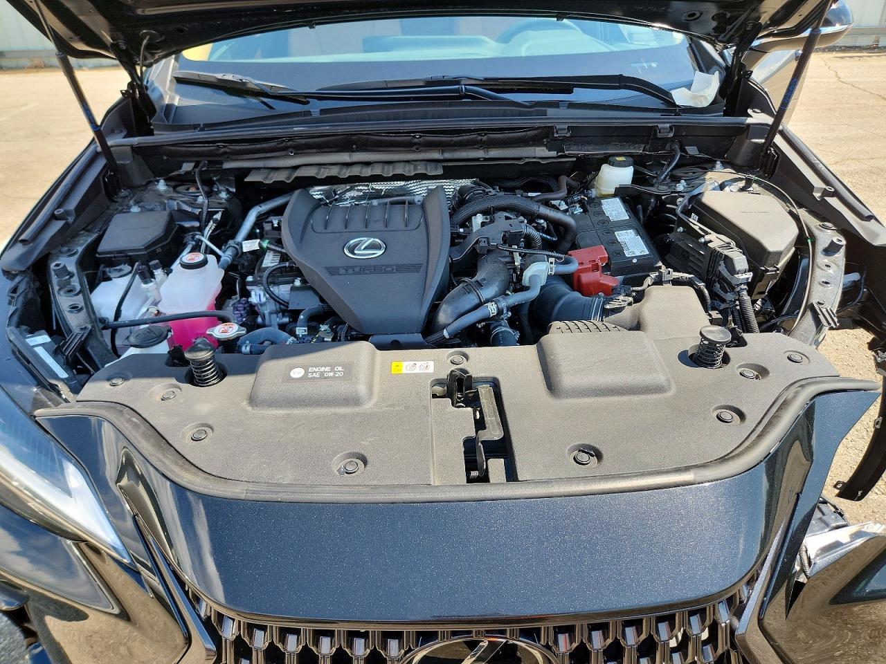 2T2GGCEZ0SC066474 2025 LEXUS NX photo no. 12