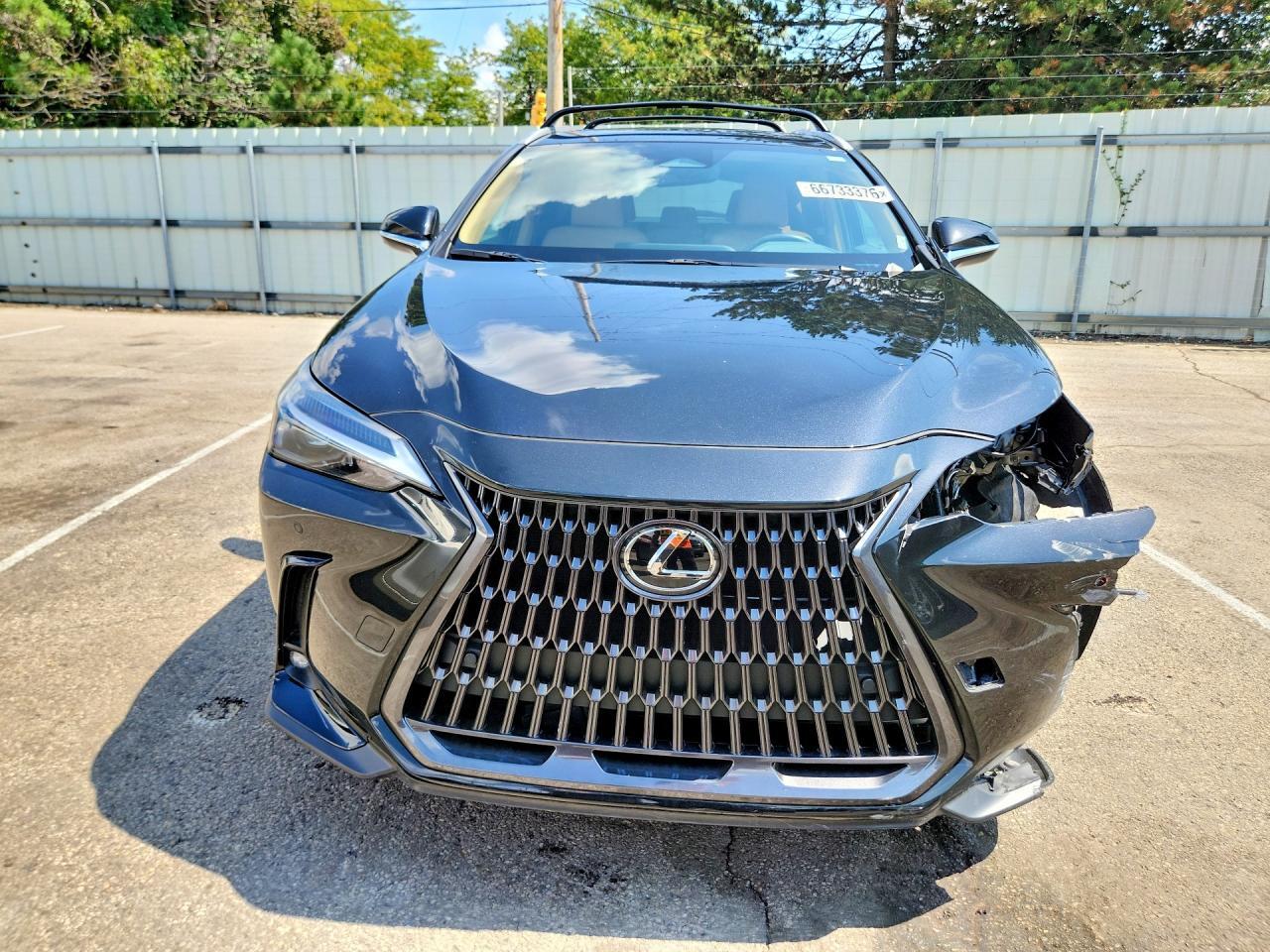 2T2GGCEZ0SC066474 2025 LEXUS NX photo no. 5