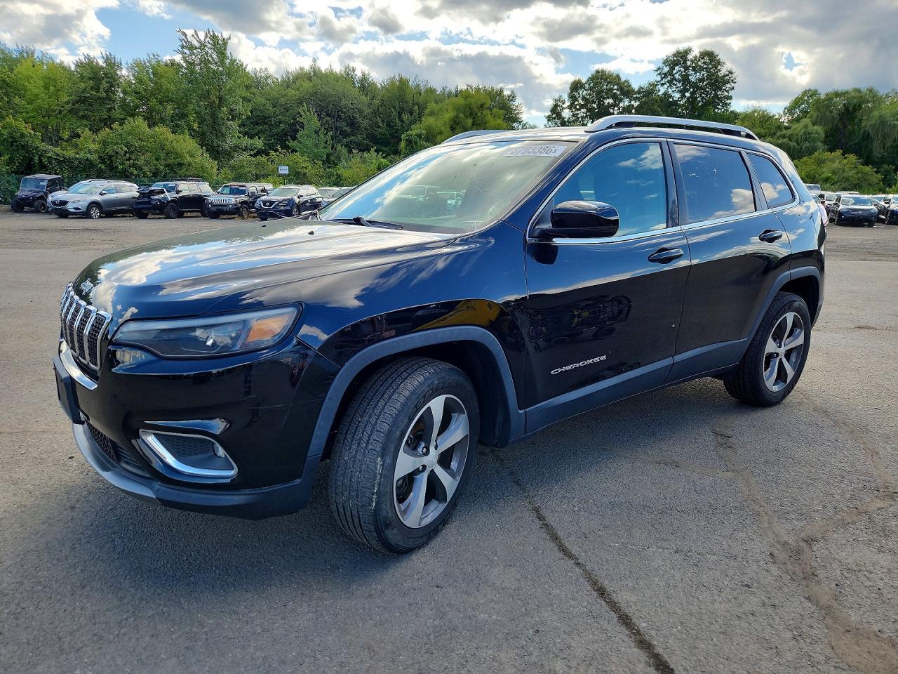 2019 JEEP CHEROKEE 1C4PJMDX0KD441018