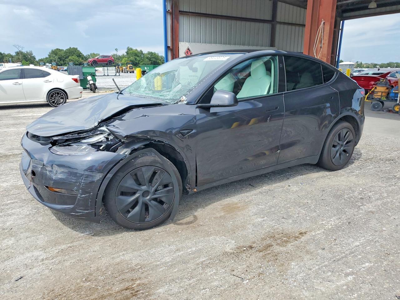 2024 TESLA MODEL Y 7SAYGDED9RF163555