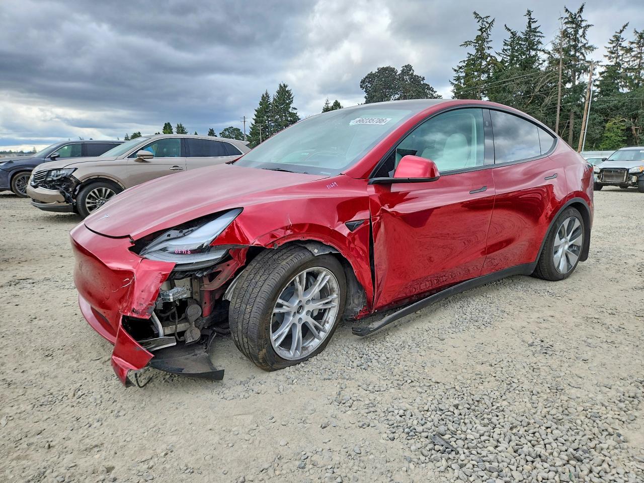 2024 TESLA MODEL Y 7SAYGAEE2RF006716