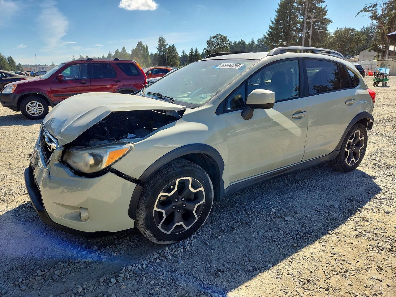 2013 SUBARU XV CROSSTREK JF2GPAGC6DH824917