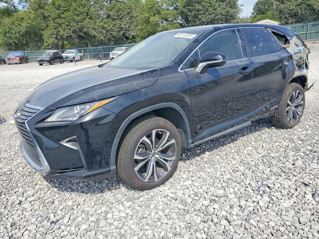 2018 LEXUS RX 450HL JTJDGKCA5J2003718