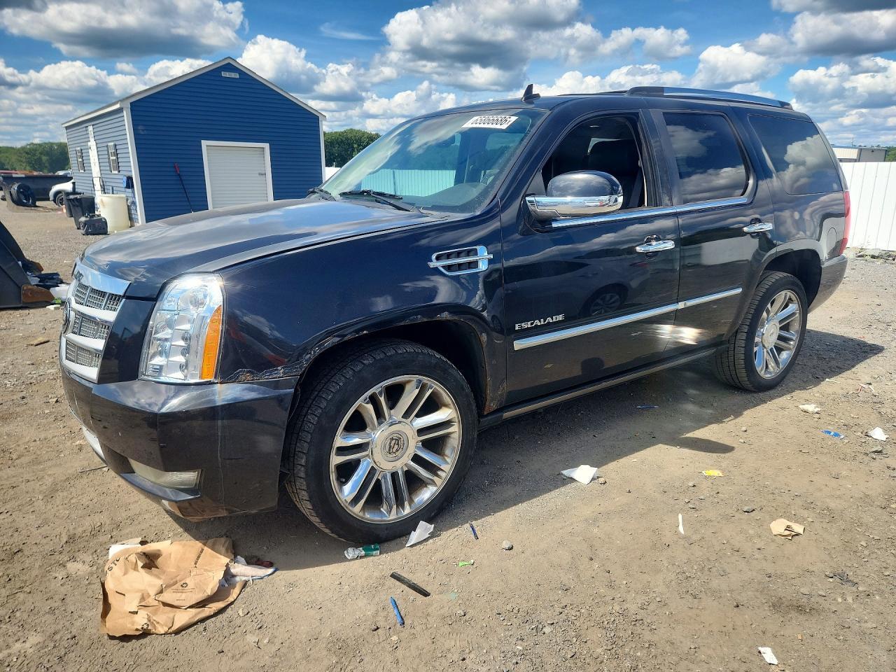 2010 CADILLAC ESCALADE 1GYUKDEF4AR157957