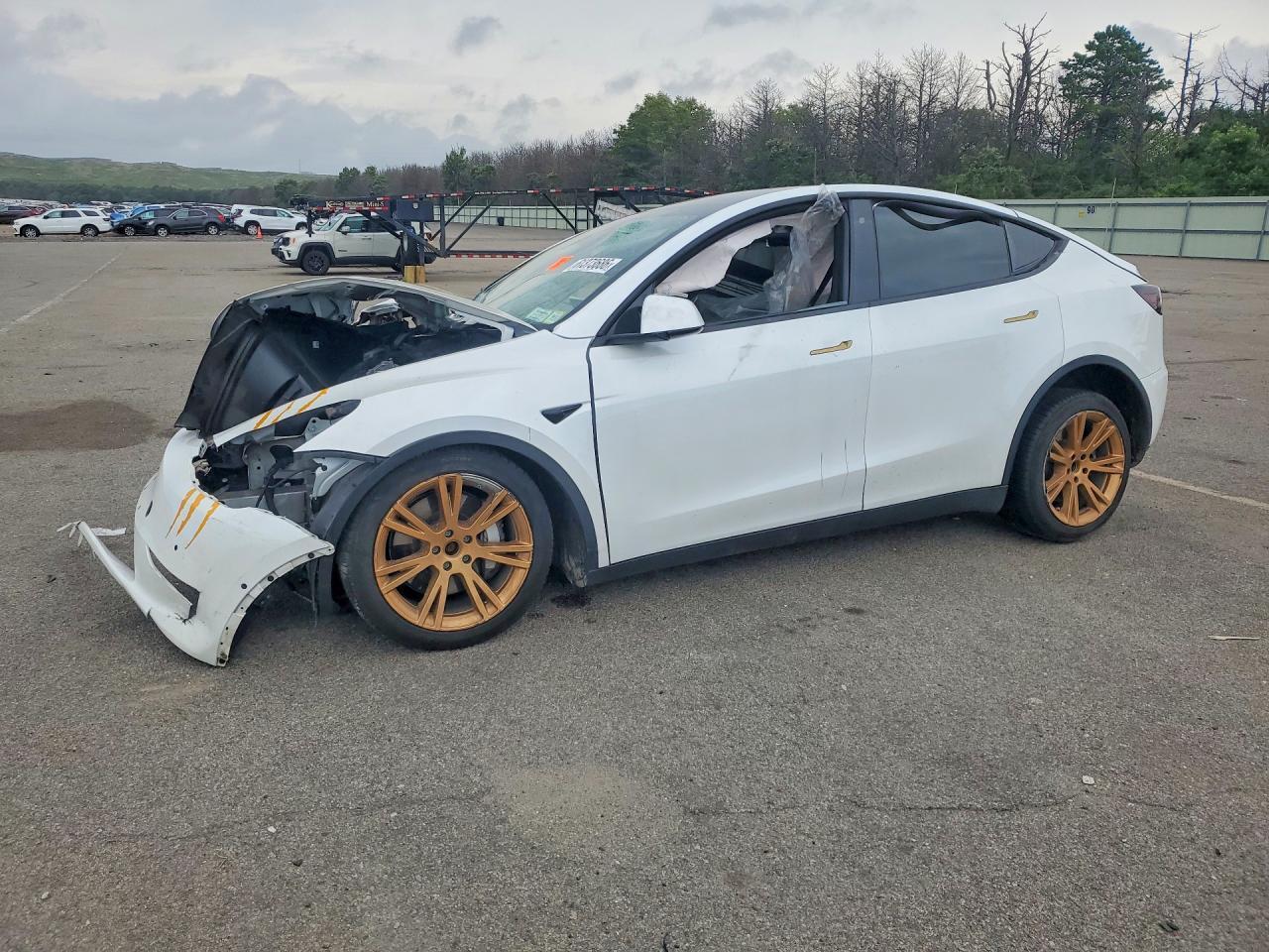 2020 TESLA MODEL Y 5YJYGDEE7LF012436