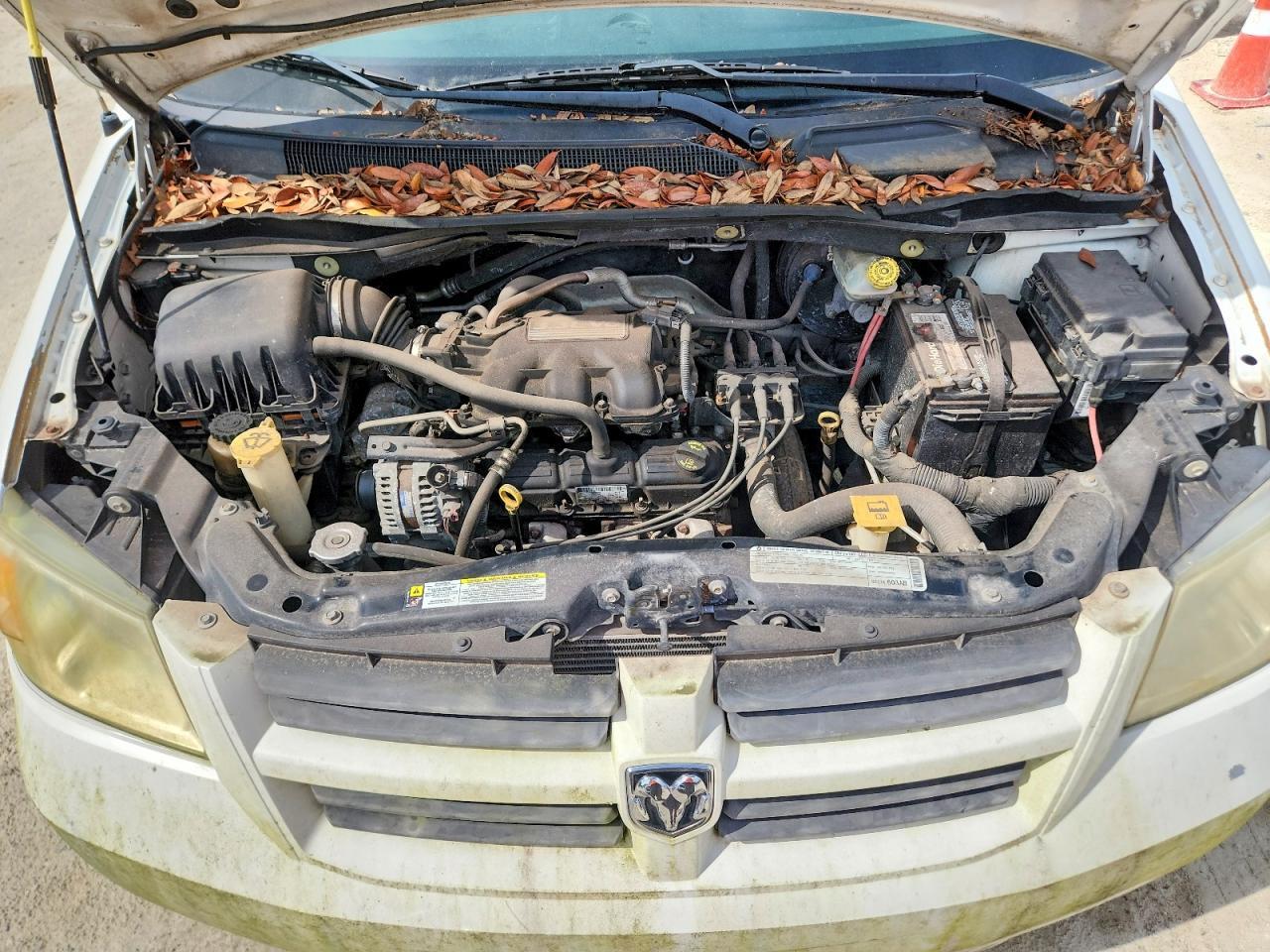 1D8HN44E59B514124 2009 DODGE GRAND CARAVAN photo no. 12