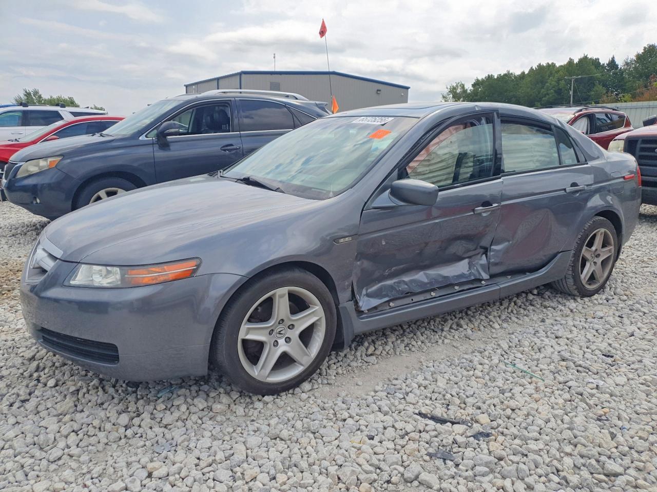 2004 ACURA TL 19UUA66244A072539