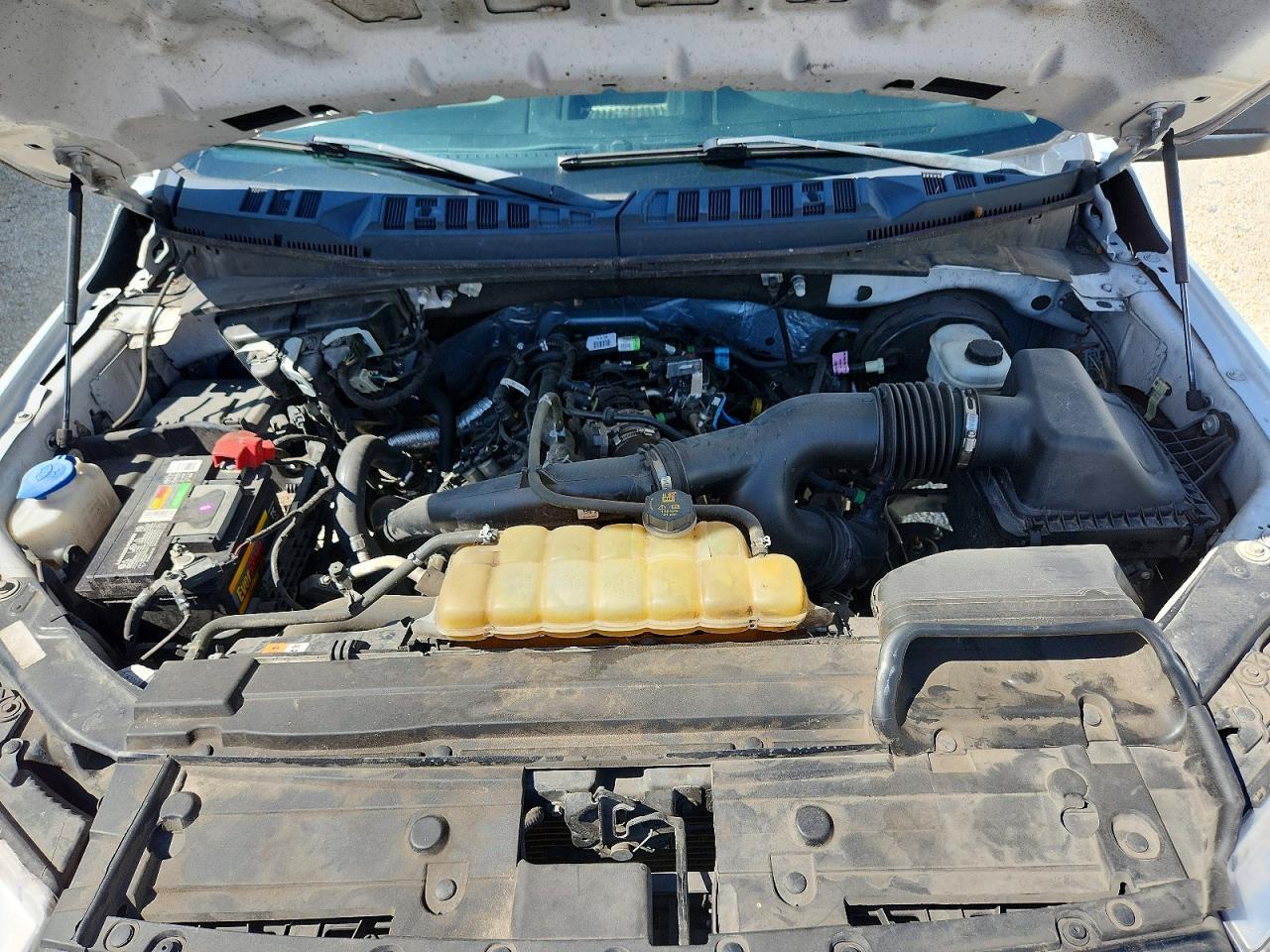 1FTMF1CP1LFC46376 2020 FORD F150 photo no. 11