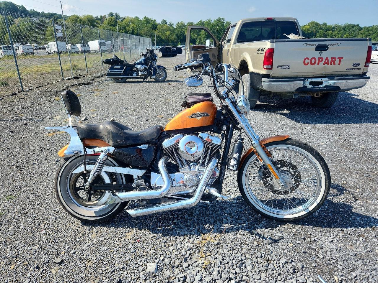 2014 HARLEY-DAVIDSON XL1200 1HD1LF317EC437436