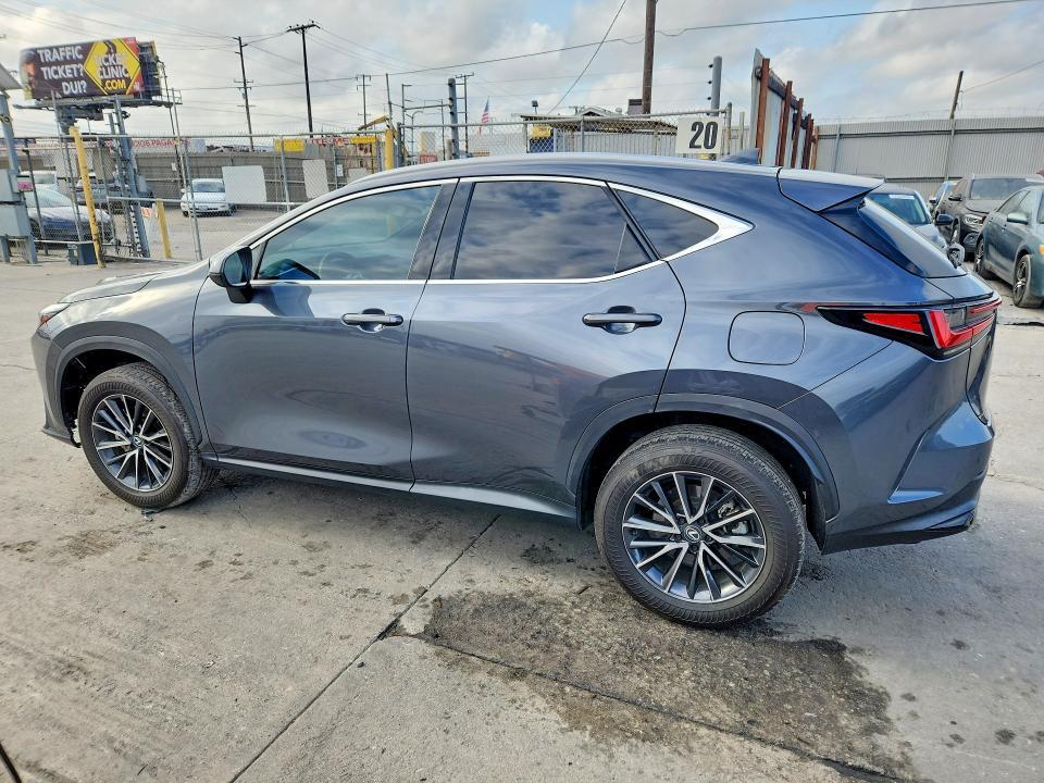 2024 LEXUS NX 350 BASE — Фото 2 из 13
