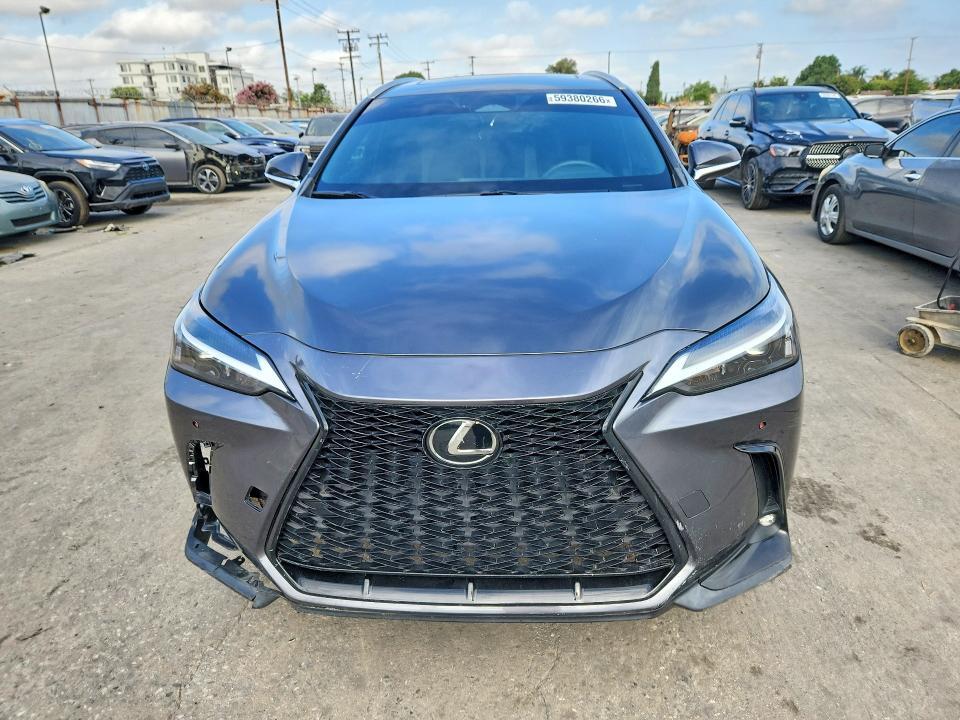 2024 LEXUS NX 350 BASE — Фото 5 из 13