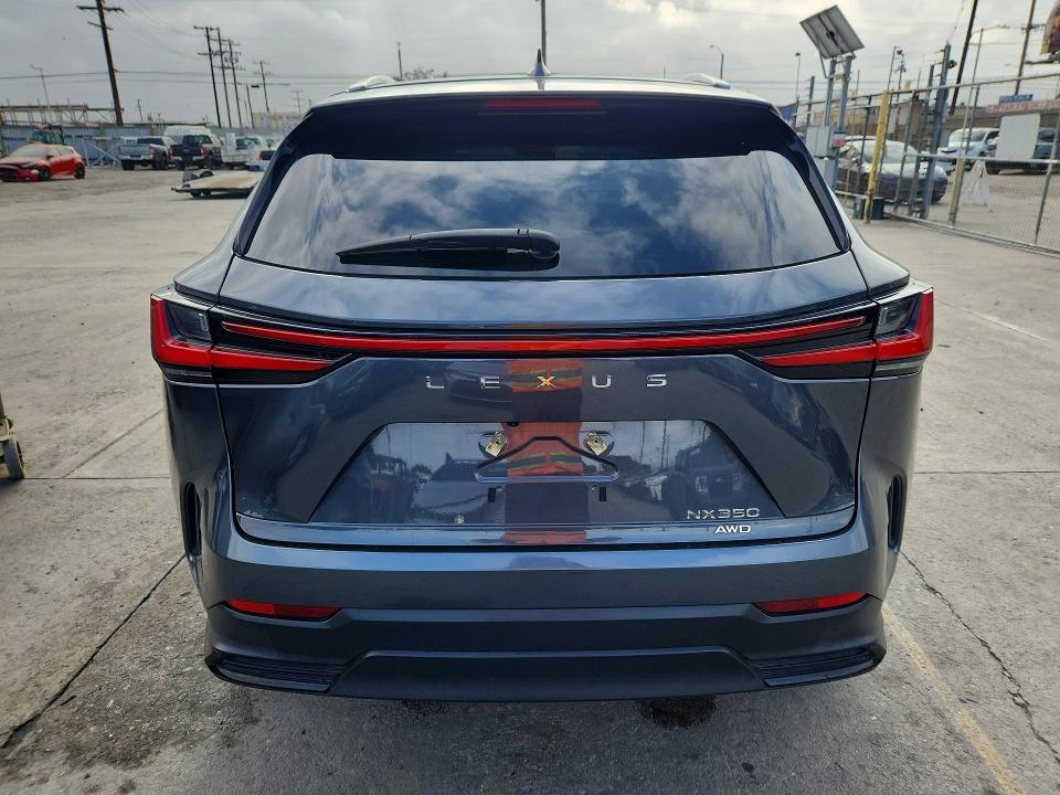 2024 LEXUS NX 350 BASE — Фото 6 из 13