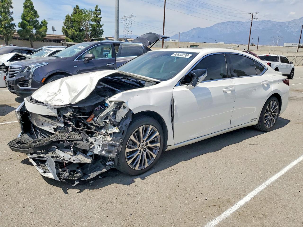 2019 LEXUS ES 58AB21B19KU003817