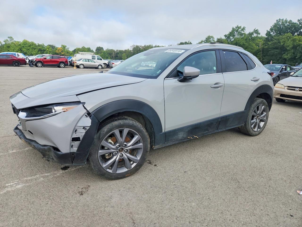 2025 MAZDA CX-30 3MVDMBCM9SM769725