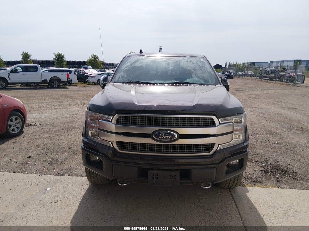 1FTEW1E4XLFA23311 2020 FORD F-150 photo no. 12