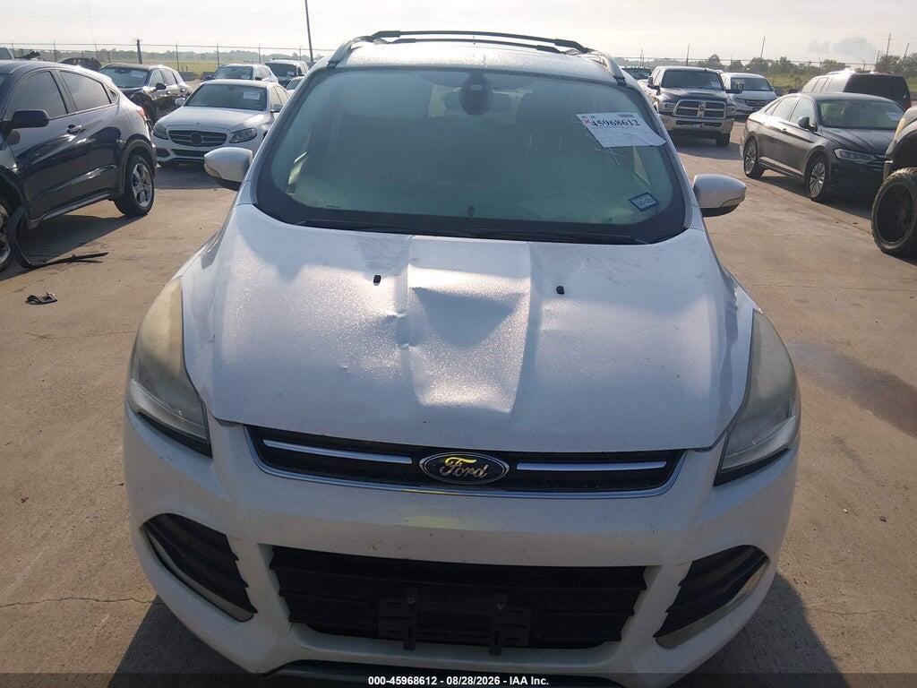 1FMCU0J98EUC37636 2014 FORD ESCAPE photo no. 6