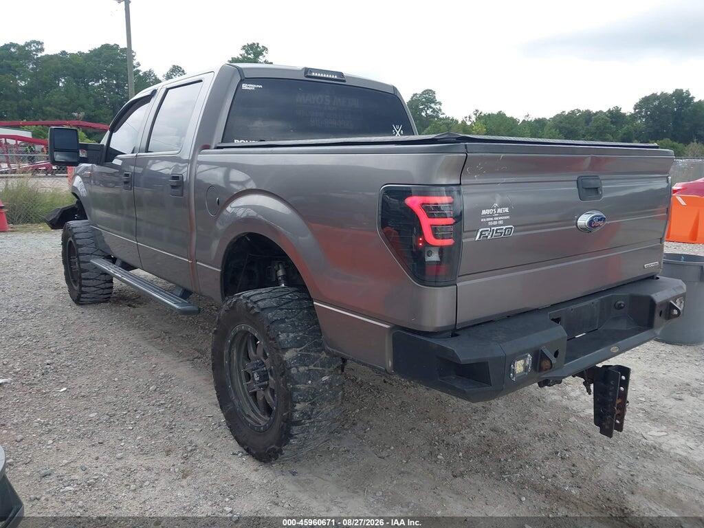 1FTFW1EF5EKF42623 2014 FORD F-150 photo no. 3