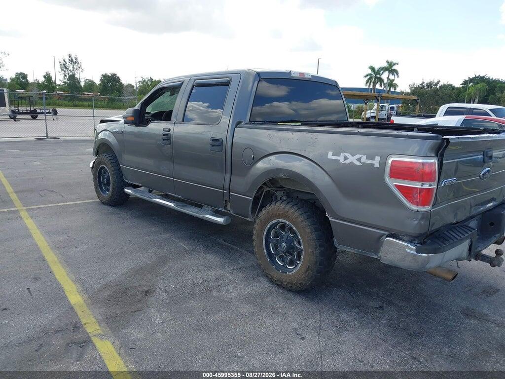 1FTFW1EVXAFA67769 2010 FORD F-150 photo no. 3