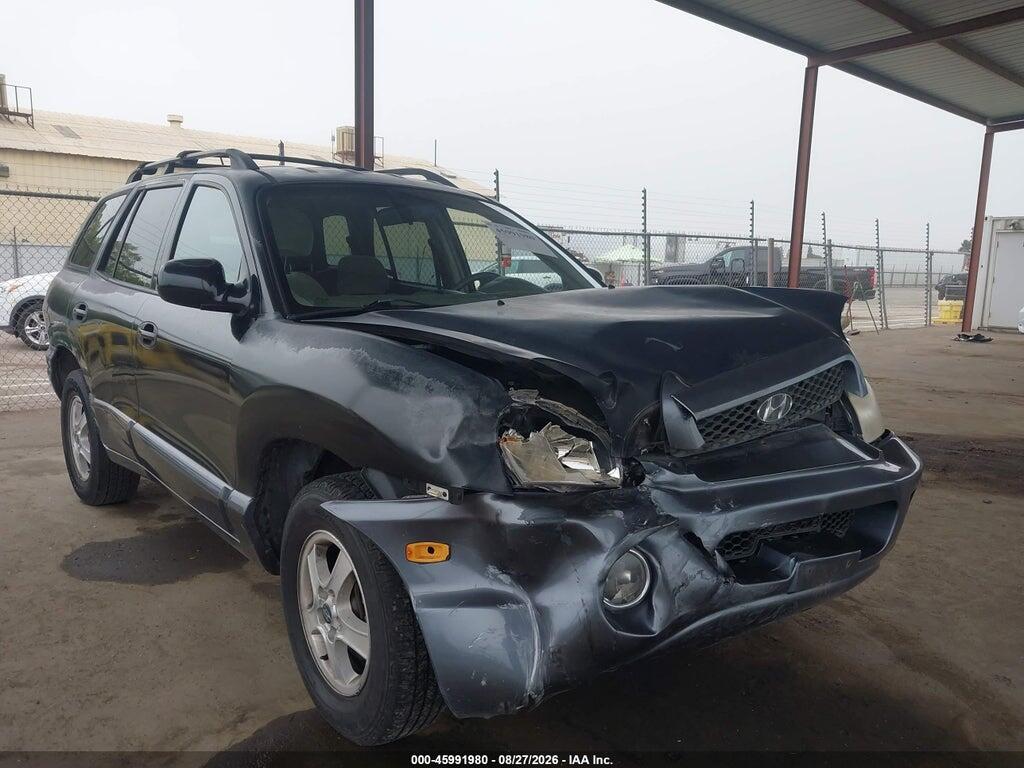 2004 HYUNDAI SANTA FE KM8SC13D64U839620