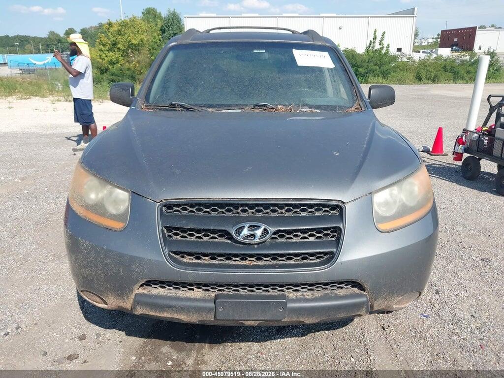 5NMSG13D29H250622 2009 HYUNDAI SANTA FE photo no. 6