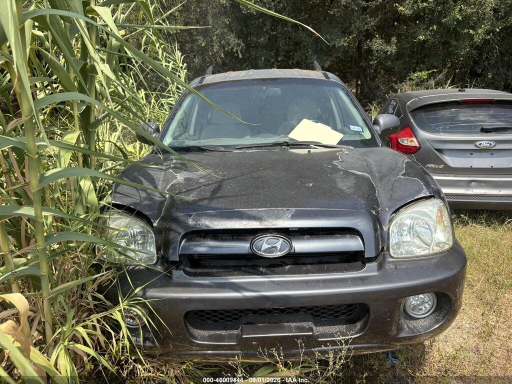 2006 HYUNDAI SANTA FE KM8SC13D86U071481
