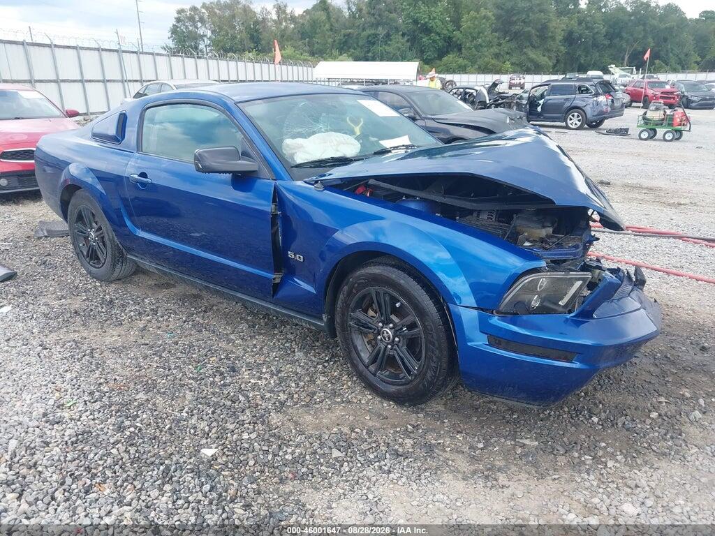 2006 FORD MUSTANG 1ZVFT80N665128814