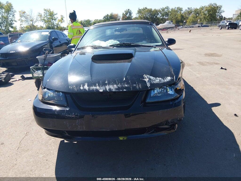 1FAFP45X82F211312 2002 FORD MUSTANG photo no. 12