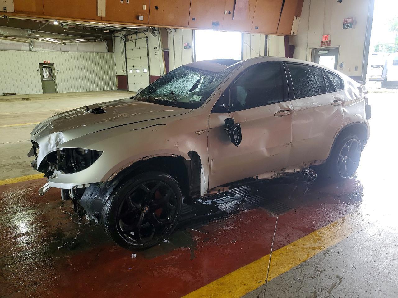 2013 BMW X6 5UXFG2C51DL786662