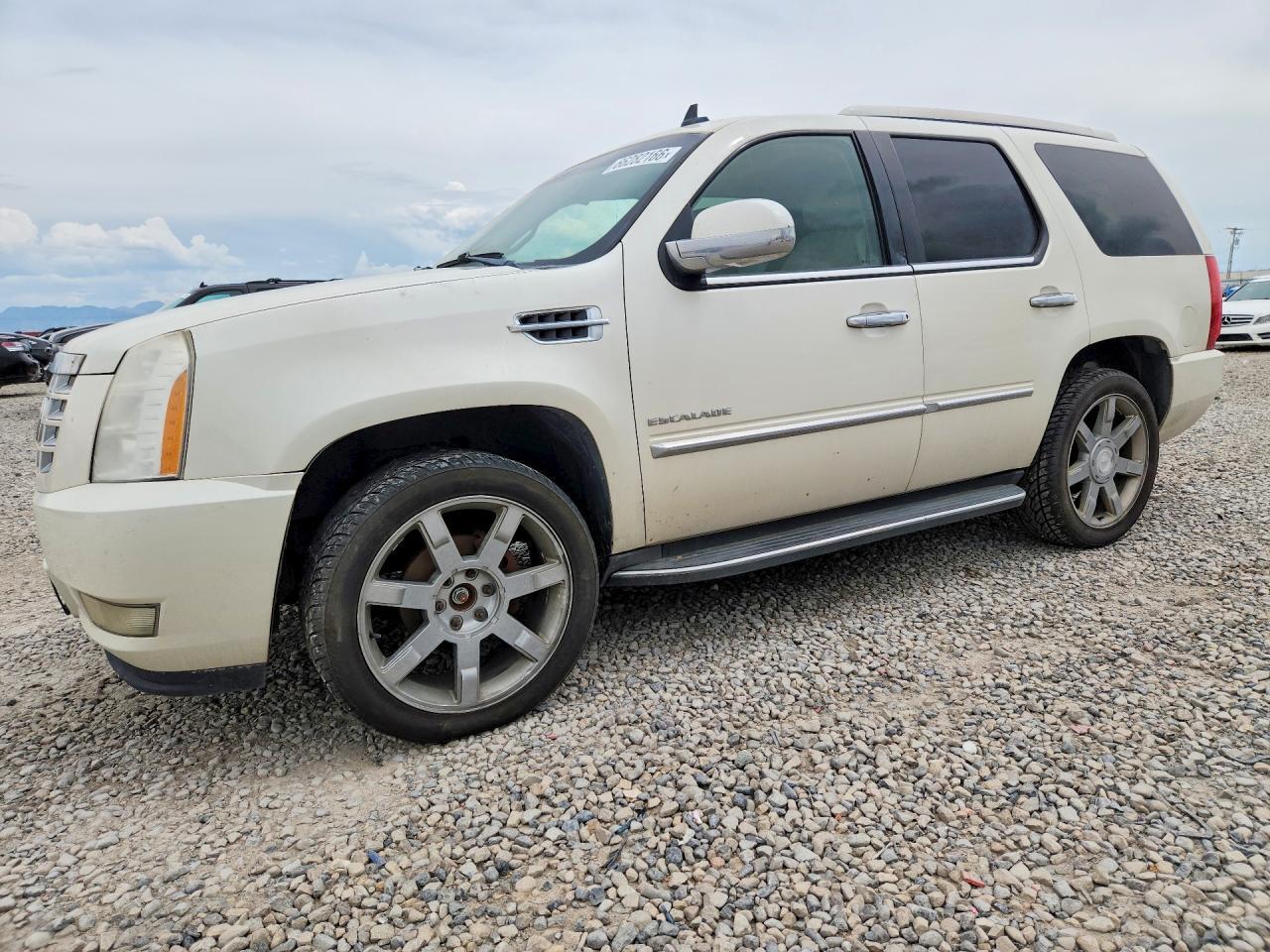 2012 CADILLAC ESCALADE 1GYS4BEF3CR142861