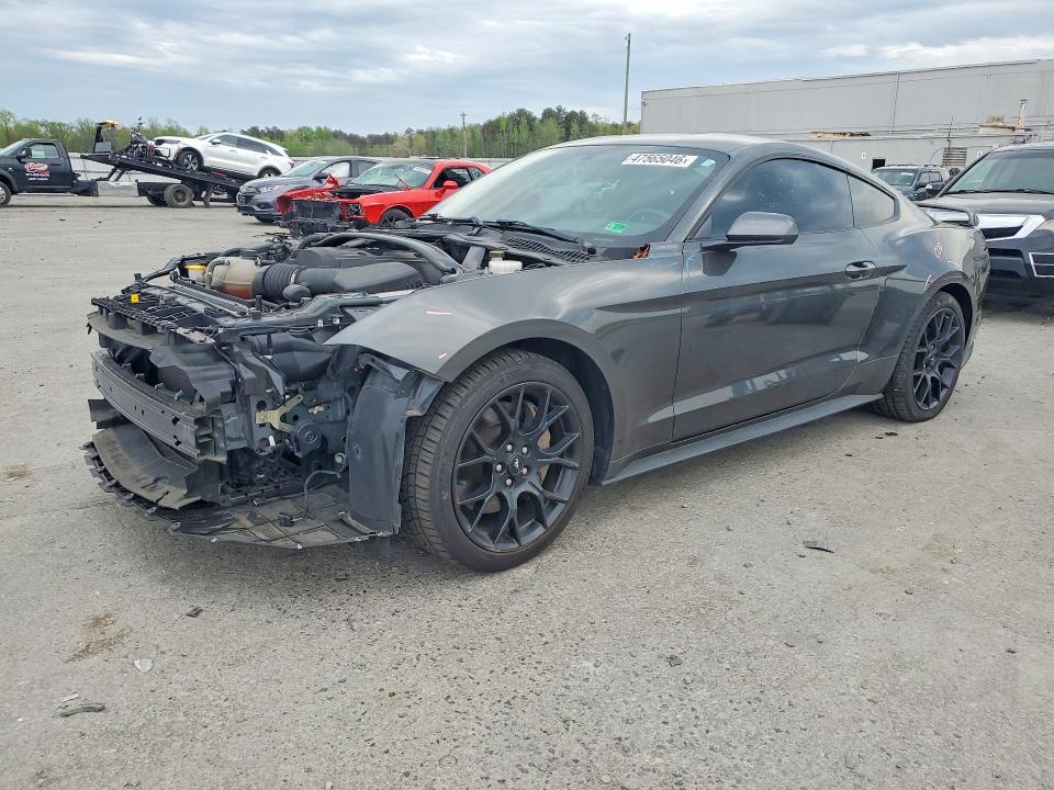 2019 FORD MUSTANG 1FA6P8TH4K5202891