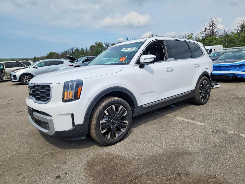 2024 KIA TELLURIDE 5XYP5DGC7RG513342