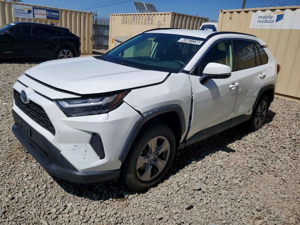 2024 TOYOTA RAV4 JTMMWRFV6RD244541