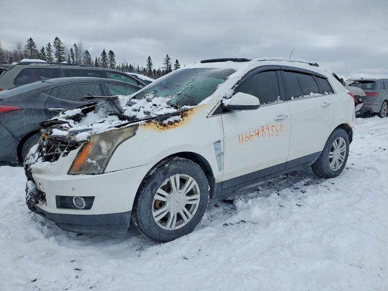 2010 CADILLAC SRX 3GYFNFE48AS577082