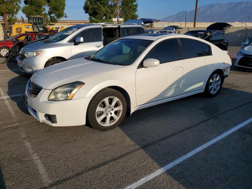 2007 NISSAN MAXIMA 1N4BA41E67C850799