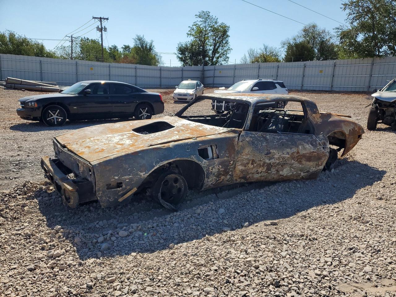 1981 PONTIAC FIREBIRD 1G2AW87W2BL103910