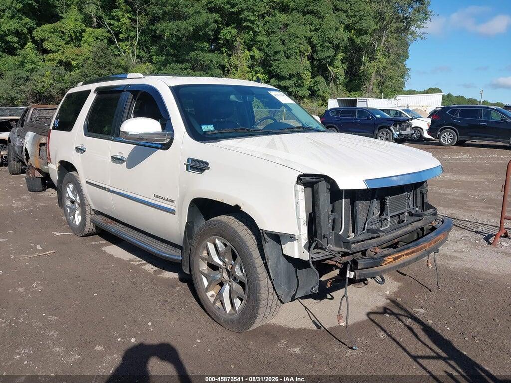 2010 CADILLAC ESCALADE 1GYUKBEF3AR271212