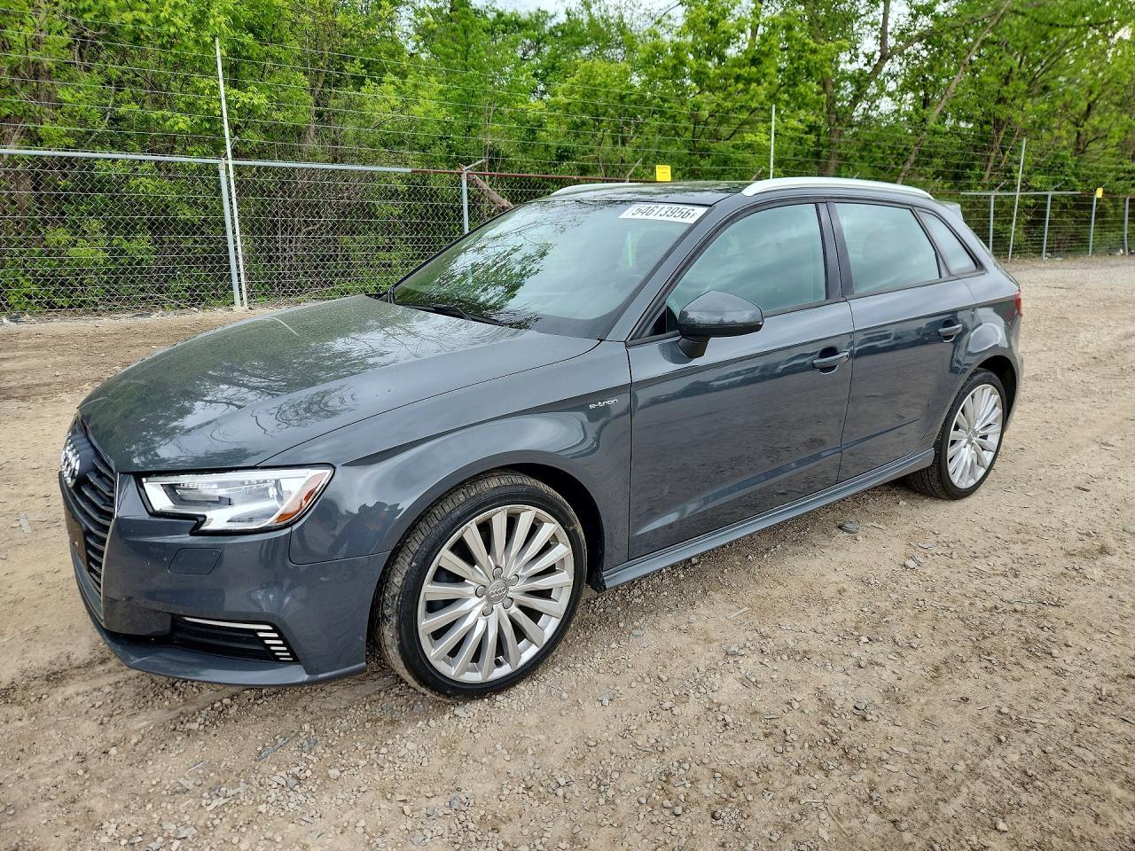 2017 AUDI A3 WAUUPBFF0HA053109
